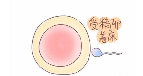 一二三代試管技術的不同之處在哪？