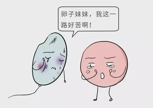 輸卵管堵塞有積水能做試管嬰兒移植嗎？