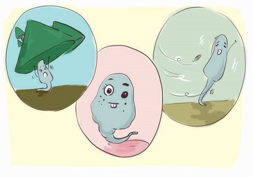 hiv男洗精加試管費(fèi)用是多少？要知道