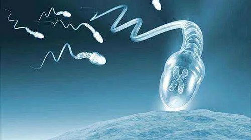 2022三代試管嬰兒成功率不低，怎么避免遺傳病的？