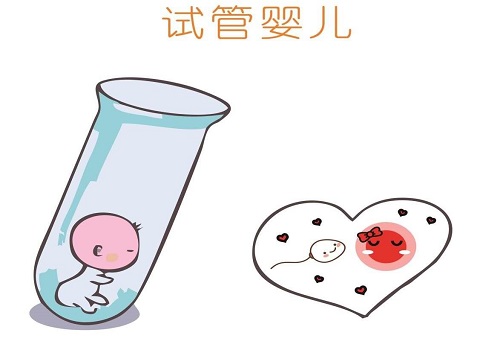 赴泰試管嬰兒流程