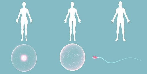試管嬰兒費用的高低受年齡因素影響嗎？