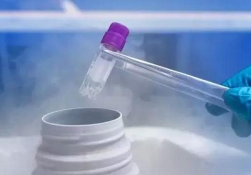 試管成功后進行孕期護理要多少錢